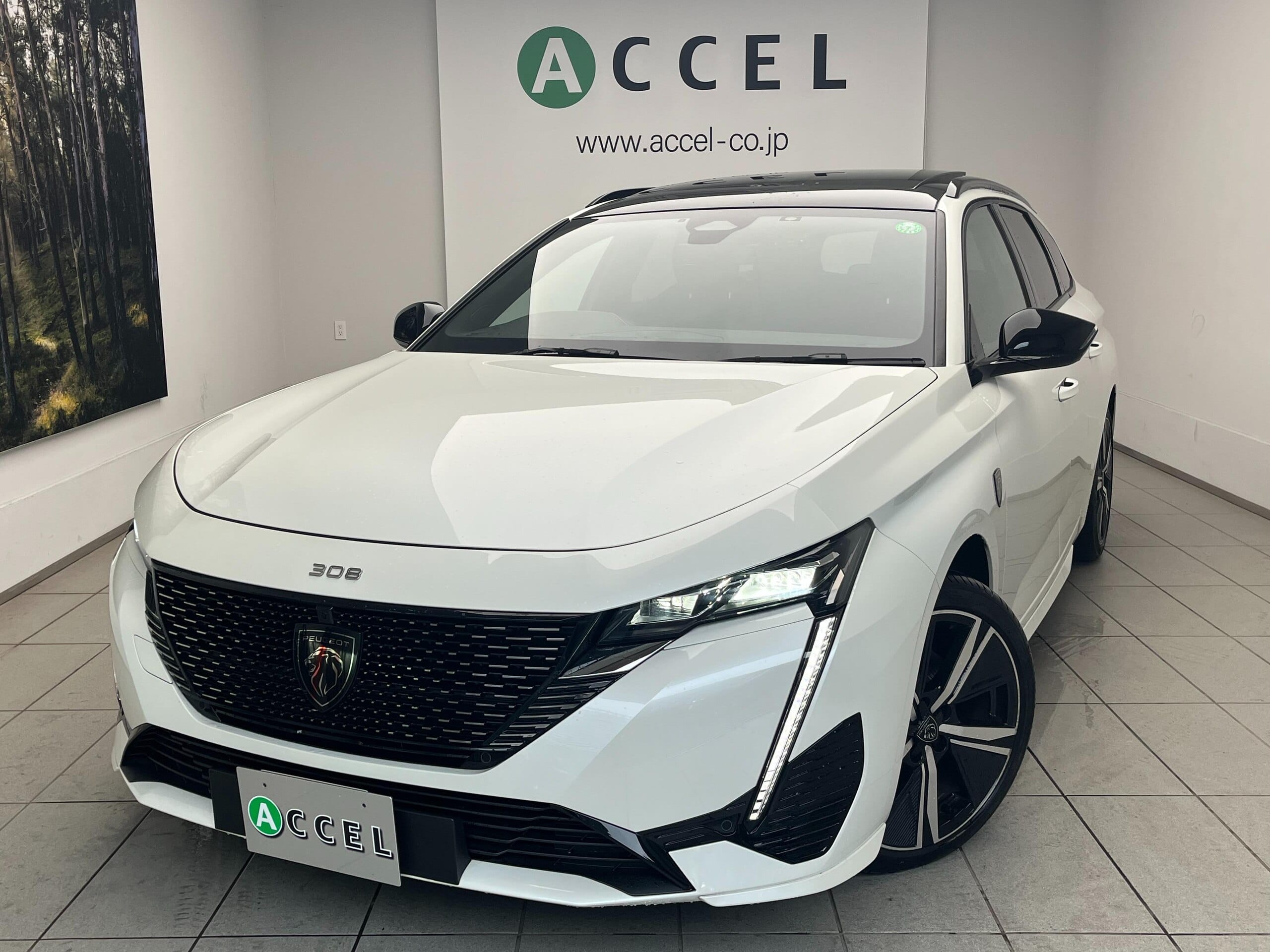 Peugeot 308 SW 1.6 BlueHDi, фото 1