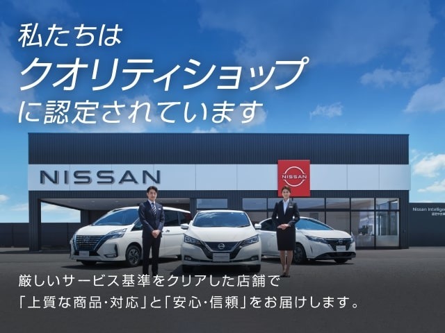 Nissan NV100 Clipper Rio
